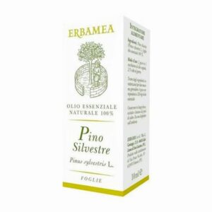 pino silvestre olio essenziale