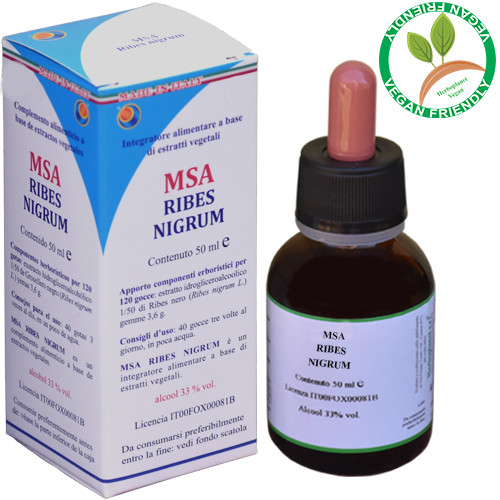 MSA RIBES NIGRUM 50ML