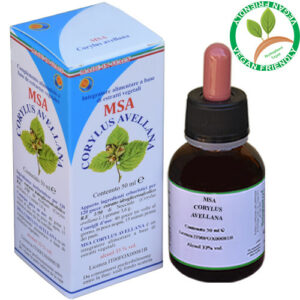 MSA CORYLUS AVELLANA 50ML