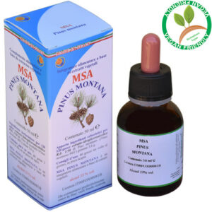 MSA PINUS MONTANA 50ML