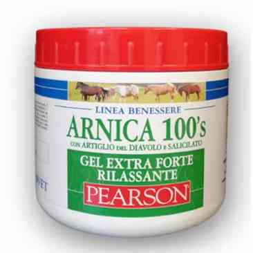 ARNICA 100'S GEL EX FT RILA500